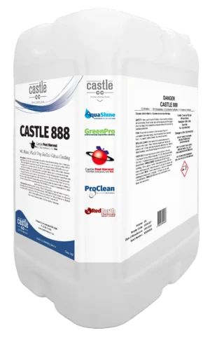 Castle 888